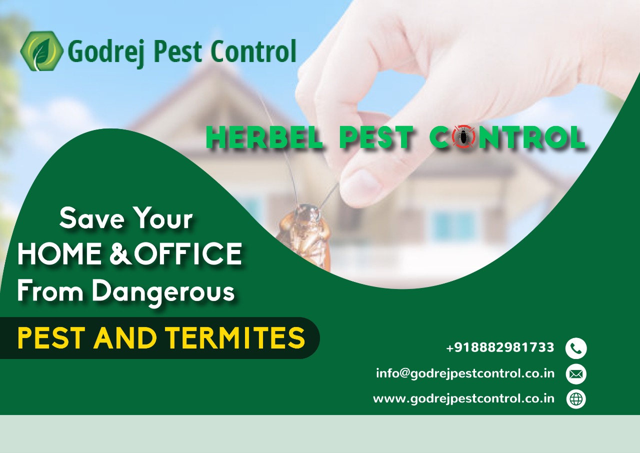 Get rid of pests and termites naturally with Herbal Pest Control by GodrejPestControl - 3873478