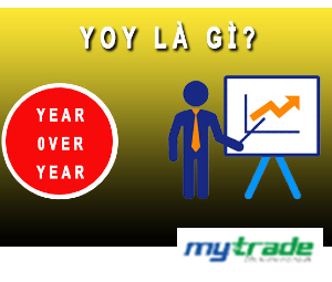 YOY là gì? Cách tính và ý nghĩa chỉ số yoy trong chứng khoán