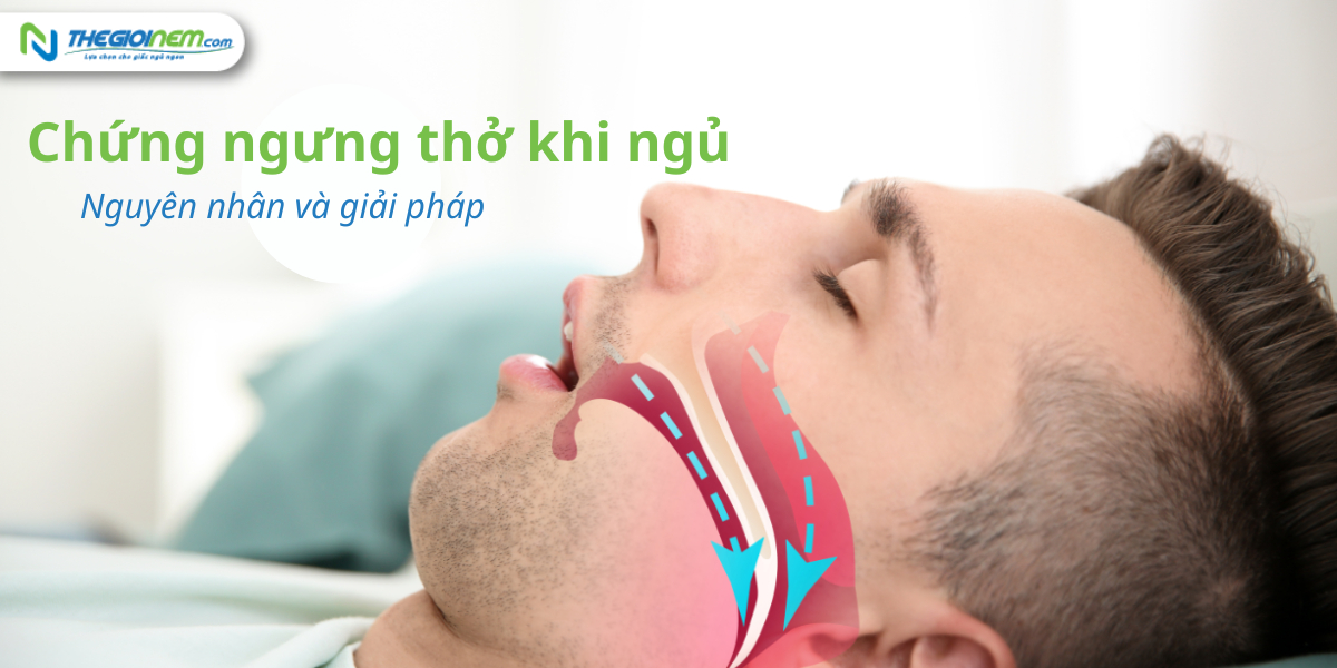 Chứng ngưng thở khi ngủ - Nguyên nhân và giải pháp | Nệm Cao Su Thiên Nhiên | Thegioinem.com