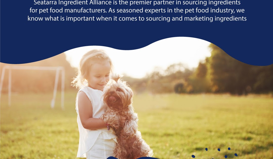Why Are Ancient Grains The Best Choice For Your Dog?