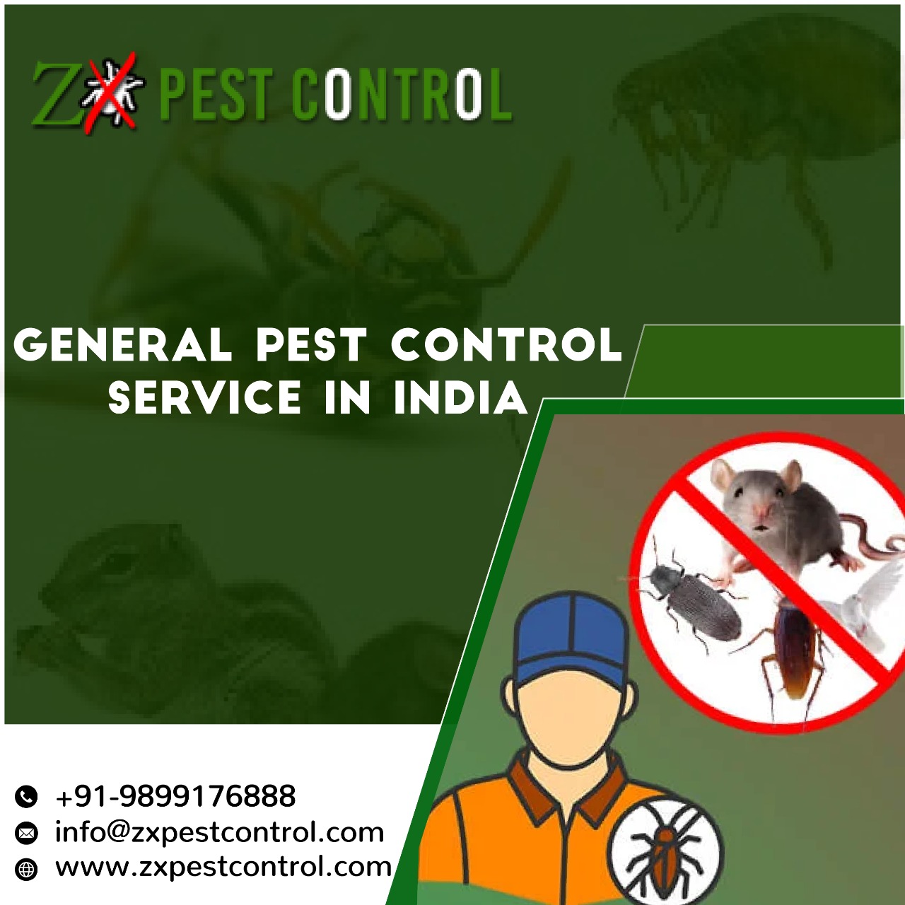 Trusted General pest control service in Noida - Classified Ads Shop