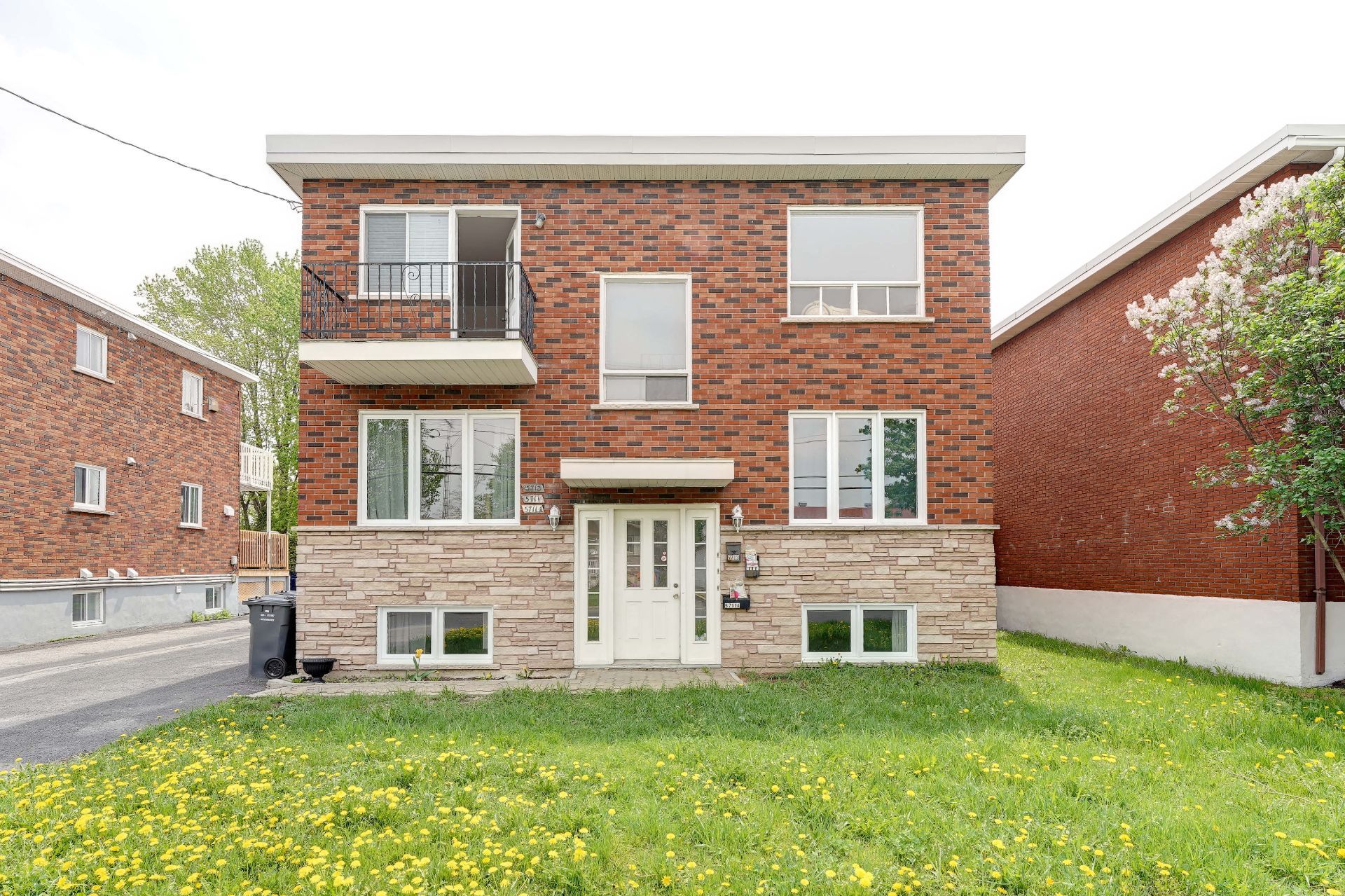 Triplex > BEHROOZ DAVANI