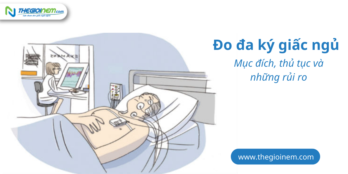 Đo đa ký giấc ngủ (Polysomnography) là gì? Mục đích, thủ tục và những rủi ro | Nệm Cao Su Thiên Nhiên | Thegioinem.com