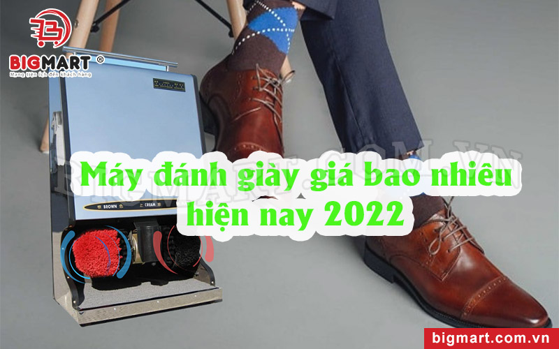 Máy đánh giày giá bao nhiêu hiện nay 2022