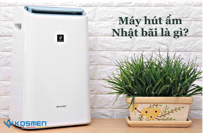 Máy Hút Ẩm Lọc Không Khí Cũ Hàng Nhật Bãi Có Thật Sự Tốt?