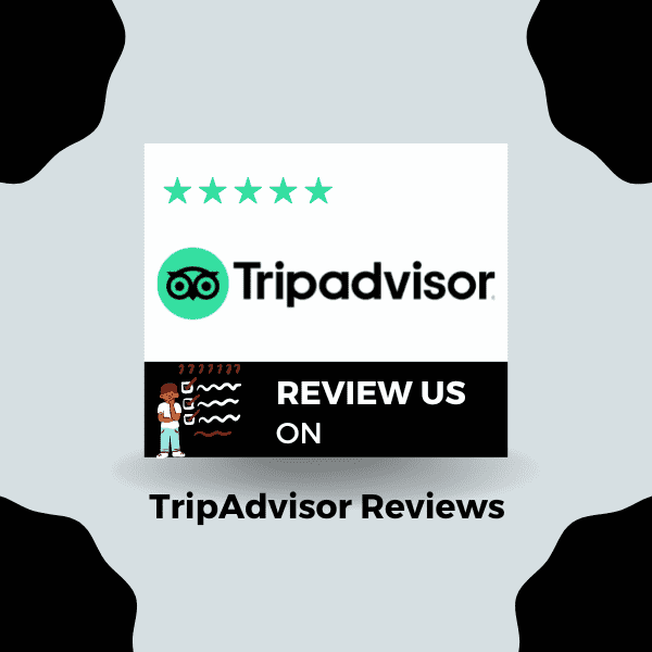 TripAdvisor Reviews - Haven Ray