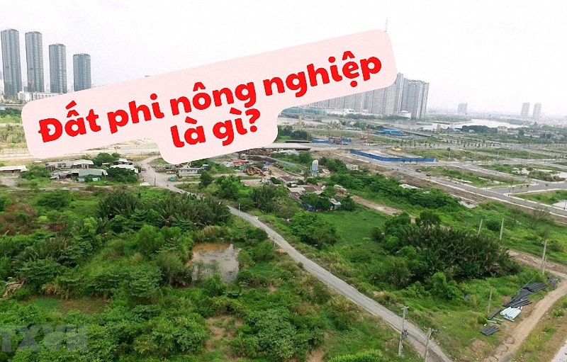 Đất phi nông nghiệp là gì? Những điều cần biết NÊN XEM Ngay