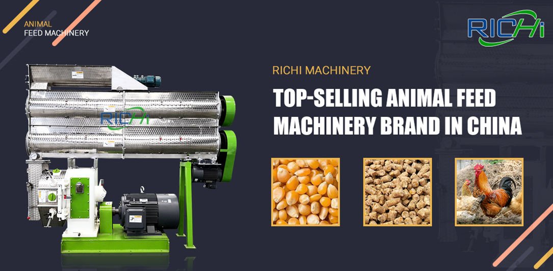 Poultry Feed Pellet Making Machine - RICHI Machinery
