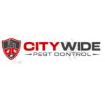 City Wide Rodent Control Sydney