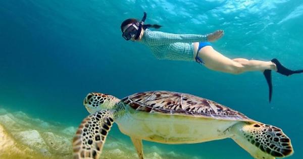 Lombok Tour Guide Services - Album on Imgur