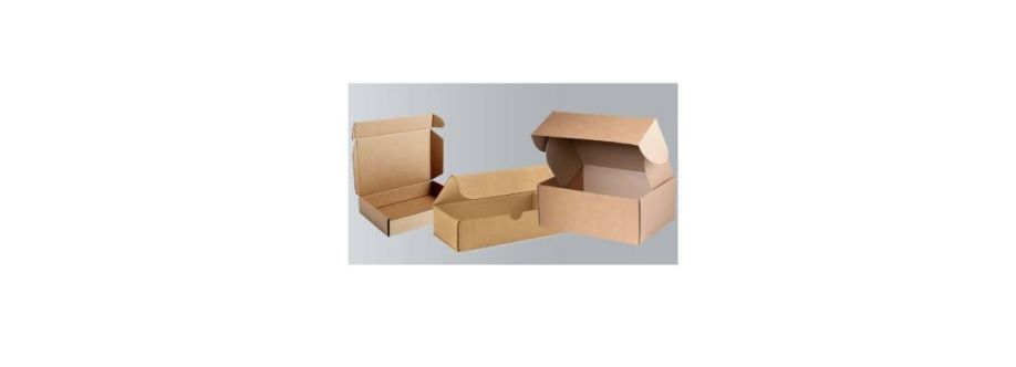 AARISHA PACKAGING SOLUTIONS PRIVATE LIMITED