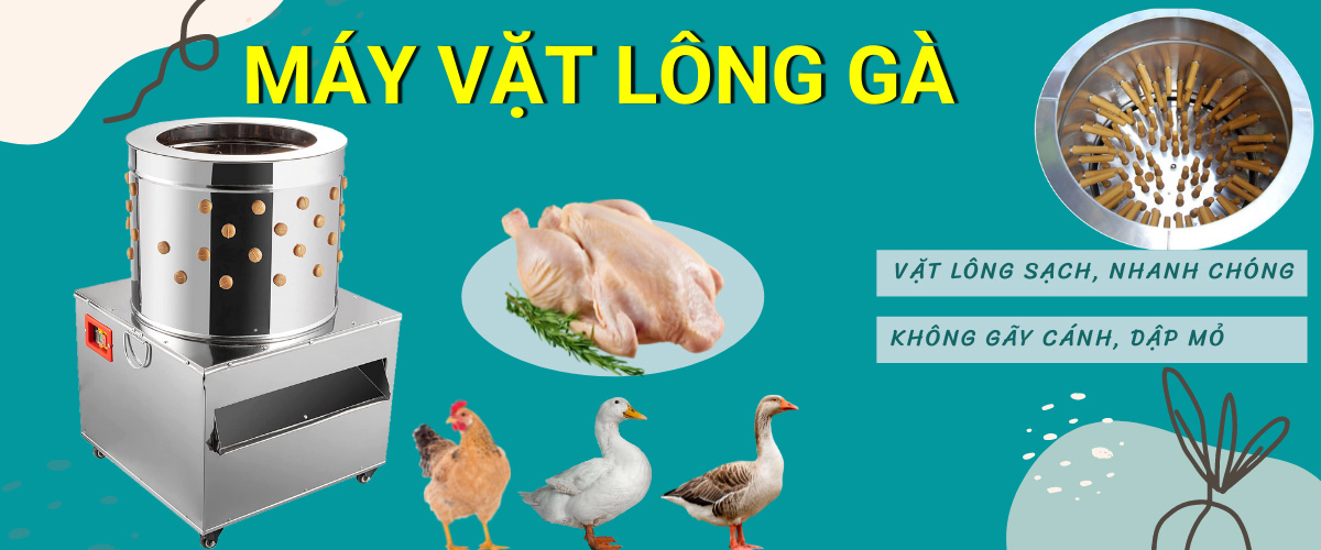 TOP 3 máy vặt lông gà vịt giá rẻ, bền, mẫu mã mới (2022)