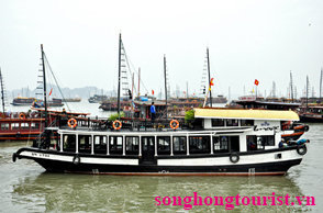 Tour Hạ Long giá rẻ | Tour du lịch Hạ Long giá rẻ bằng du thuyền | Sông Hồng Tourist