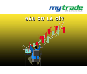 Đầu cơ là gì? Sự khác biệt giữa đầu tư và đầu cơ