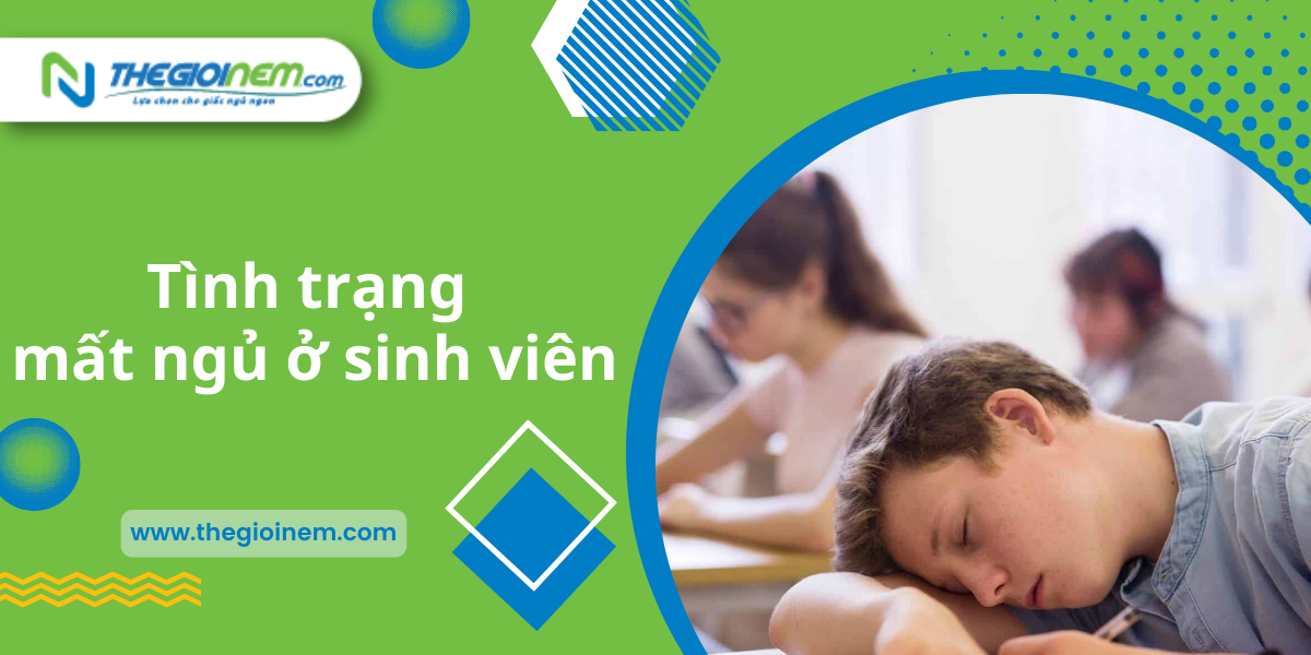 Kinh nghiệm mua nệm cho sinh viên năm 2022 | Nệm Cao Su Thiên Nhiên | Thegioinem.com