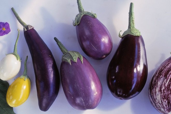 Sau sinh ăn cà tím được không? Gợi ý một số loại rau quả tốt nên ăn 