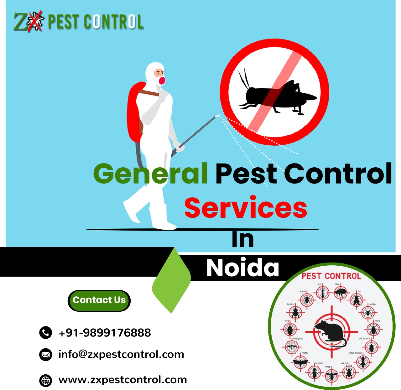 Get Our Services in Noida to Keep Your Home Pest-Free - Classified Ads Shop