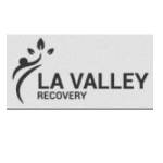 LA Valley Recovery