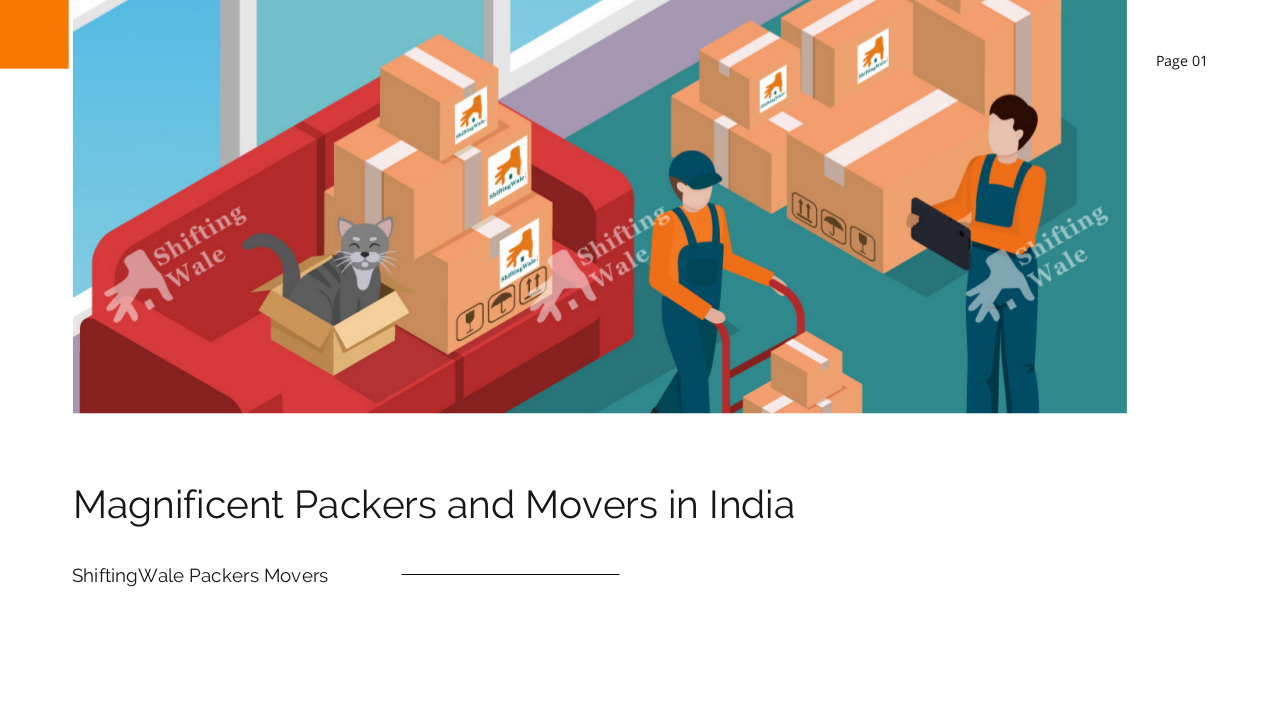 Magnificent Packers and Movers in Haldwani, Movers Packers Haldwani | edocr
