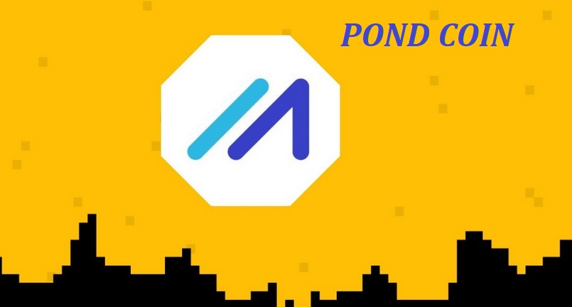 POND Coin là gì? Đánh giá tiềm năng của POND