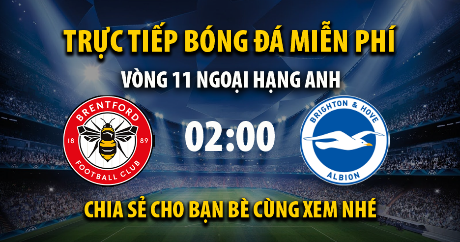 Trực tiếp Brentford vs Brighton lúc 02:00, ngày 15/10 - 93Phut.com