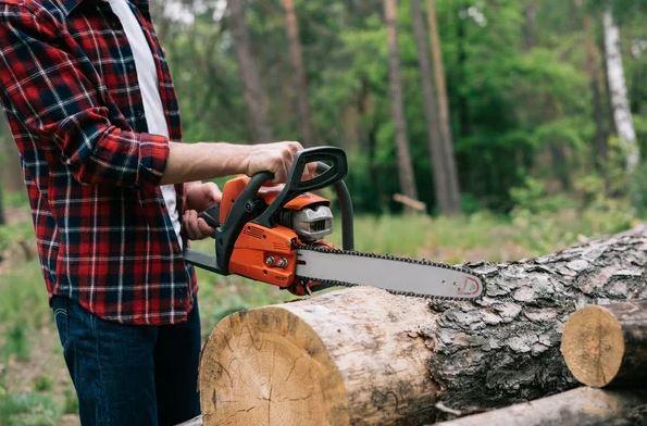 Wondering How Much Does Tree Removal Cost?