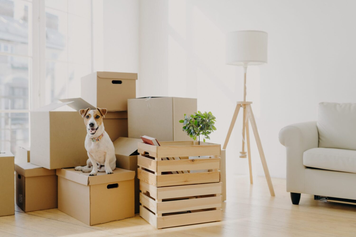 Apply These 7 Secret Techniques To Improve Moving And Storage Service - Wellness Fox