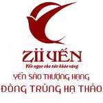 Zii Yến