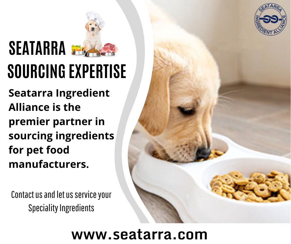 What Should You Know About Gluten-Free Dog Food? | by Seatarra Ingredient Alliance | Medium