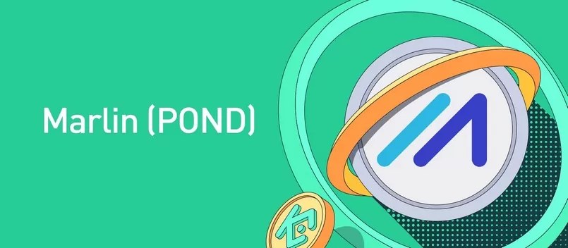 Pond Coin là gì? Tổng thể về dự án Marlin Protocol