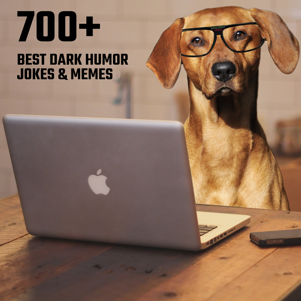 800+ Best No Limit Dark Humor Jokes & Memes to make you laugh Hilariously