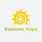 Vietnam Trips