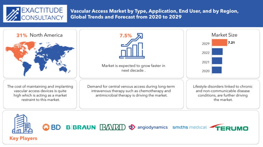 Vascular Access Device Market Share, Growth and Forecast 2029