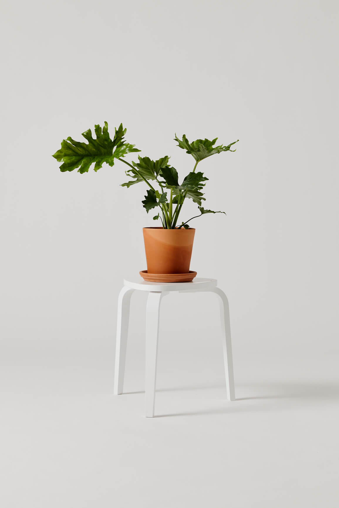 CÔNG TY CỔ PHẦN HƯNG THỊNH LAND