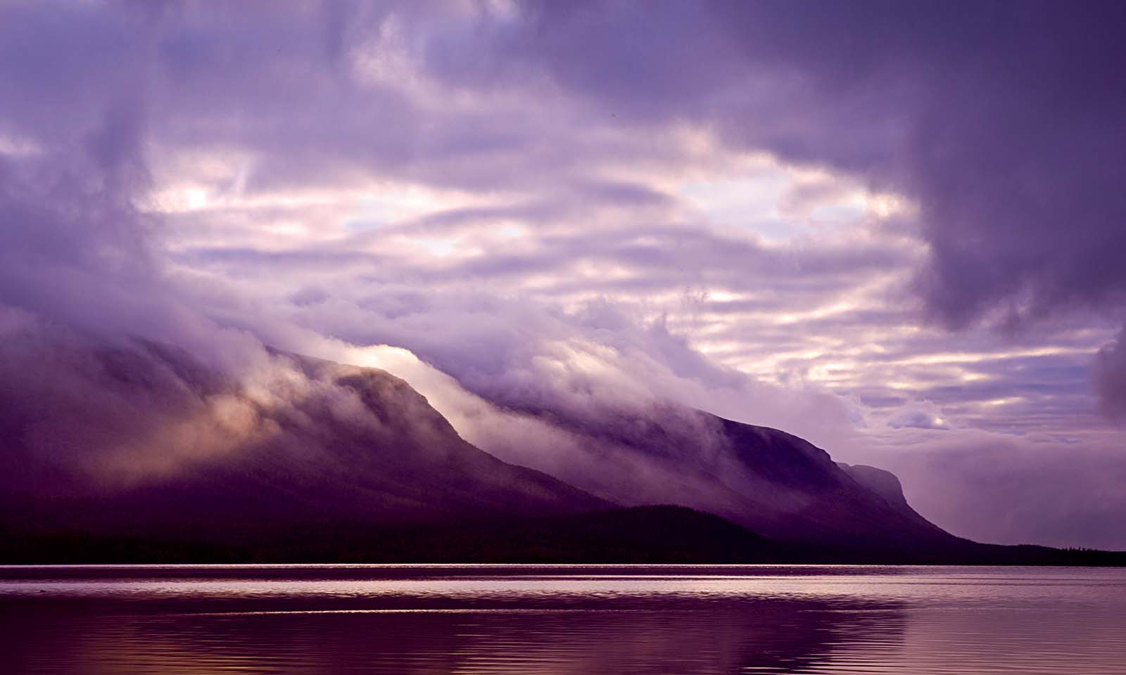 TubeLoop | Tubeloop's Ownd