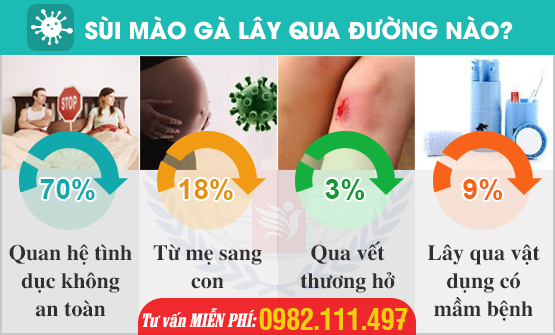 Sùi mào gà lây qua những đường nào?