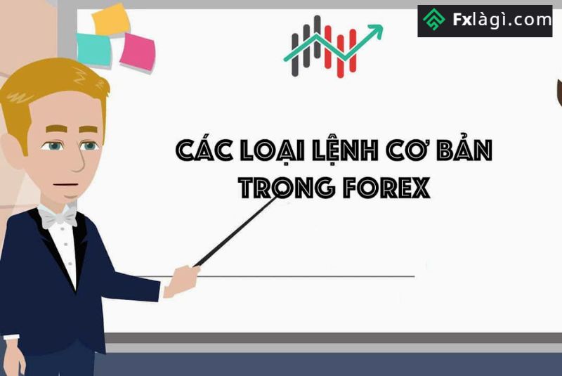 Các Lệnh Trong Forex Có Ý Nghĩa Gì?