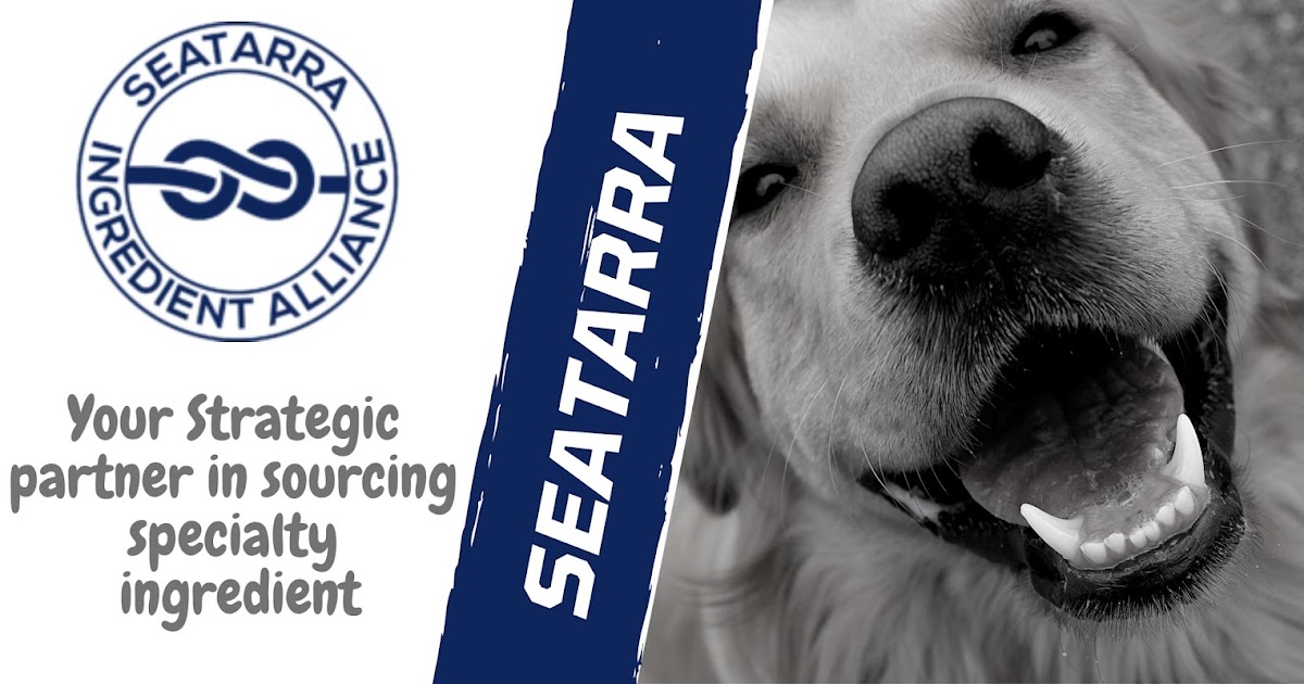 How To Decide On Nutritional Requirements Based On Your Dog's Age