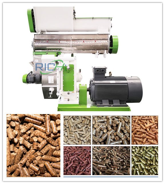 Biomass Pellet Mill For Sale - RICHI Machinery