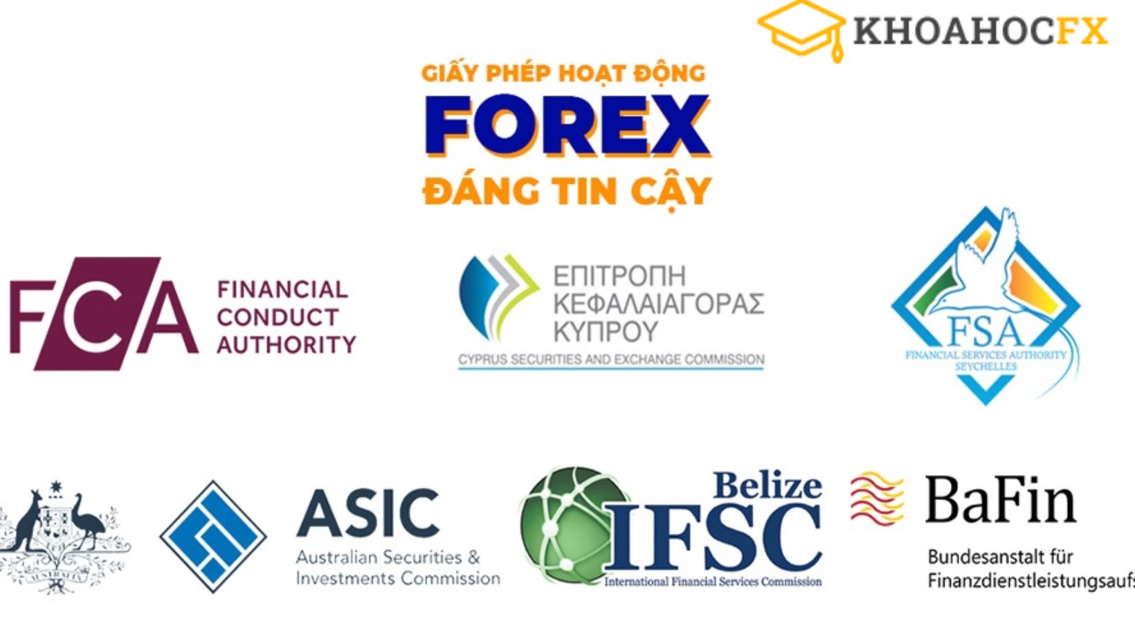 Những Kiến Thức Forex Cơ Bản Trader Mới Không Nên Bỏ Qua