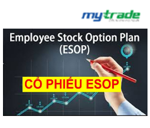 Cổ phiếu Esop là gì? Lợi ích và rủi ro khi phát hành cổ phiếu Esop