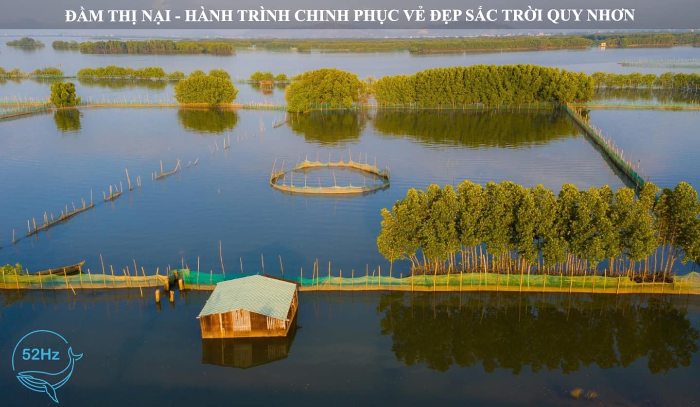 Toàn tập khám phá Đầm Thị Nại trong khoảng A đến Z cho team di dịch