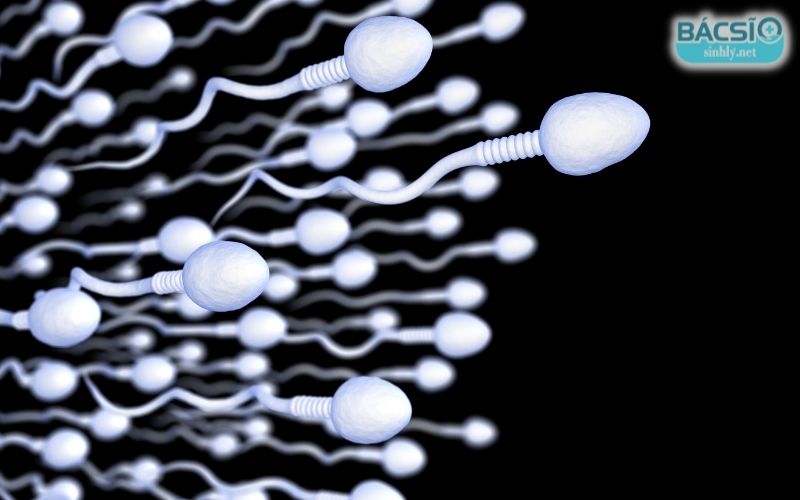 Xuất tinh nhiều có sao không? Cần biết ngay để không bị yếu