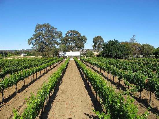 Swan Valley Wineries - Limo Hire Perth | Allure Limousines