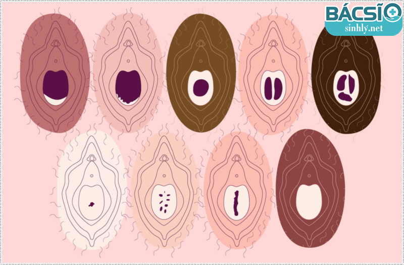 Màng trinh nằm ở vị trí nào? Nhận biết màng trinh còn hay rách?