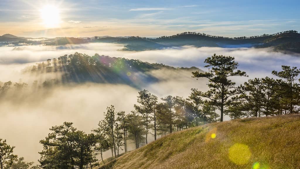 Top 10 địa điểm tổ chức team building Đà Lạt hot nhất năm 2022