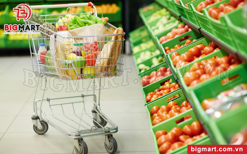 Top 3 Xe Đẩy Siêu Thị 2 Tầng Chính Hãng, Giá Tốt 2022