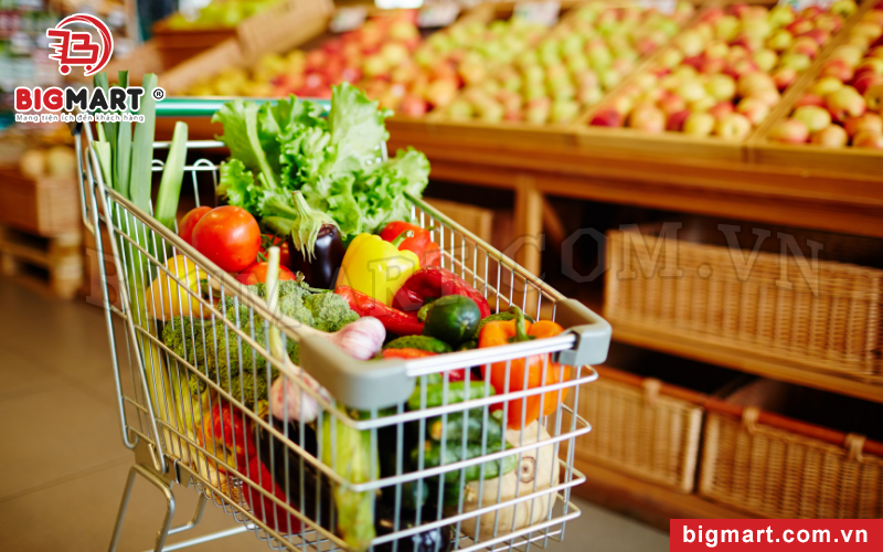 Địa Chỉ Cung Cấp Xe Đẩy Siêu Thị Tại Hà Nội Uy Tín Nhất Thị Trường