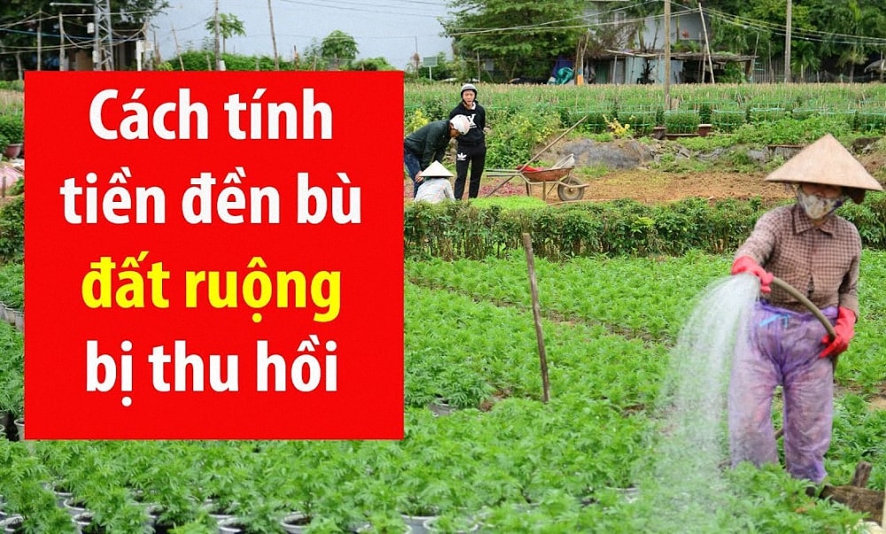 Giá đền bù đất nông nghiệp hiện nay ra sao? Có quy định gì mới?