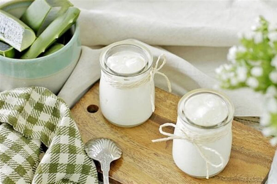 Sữa chua nha đam dẻo ngon với 3 cách làm – Bếp Ông Hoàng